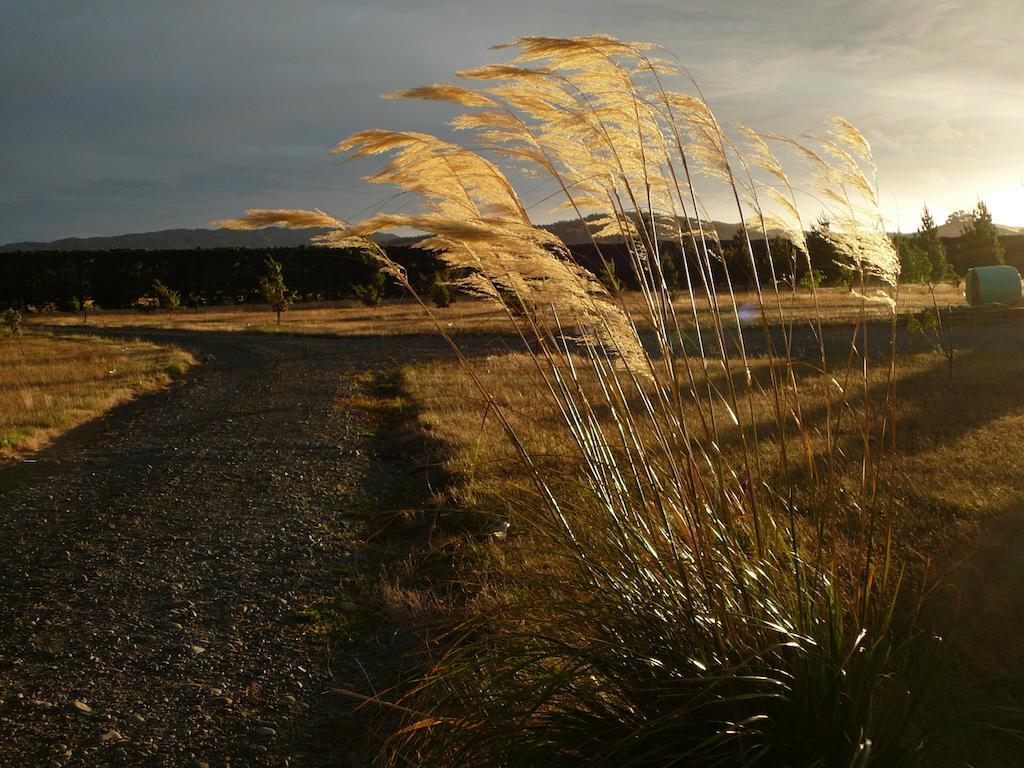 Bentleys Country Stay Hawarden Esterno foto